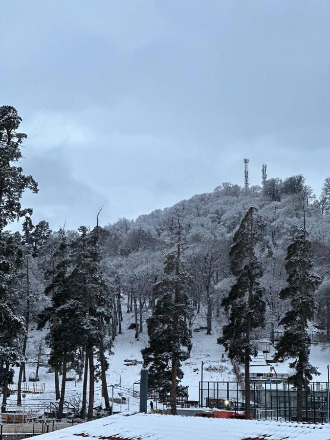 Villa Bakuriani Dış mekan fotoğraf